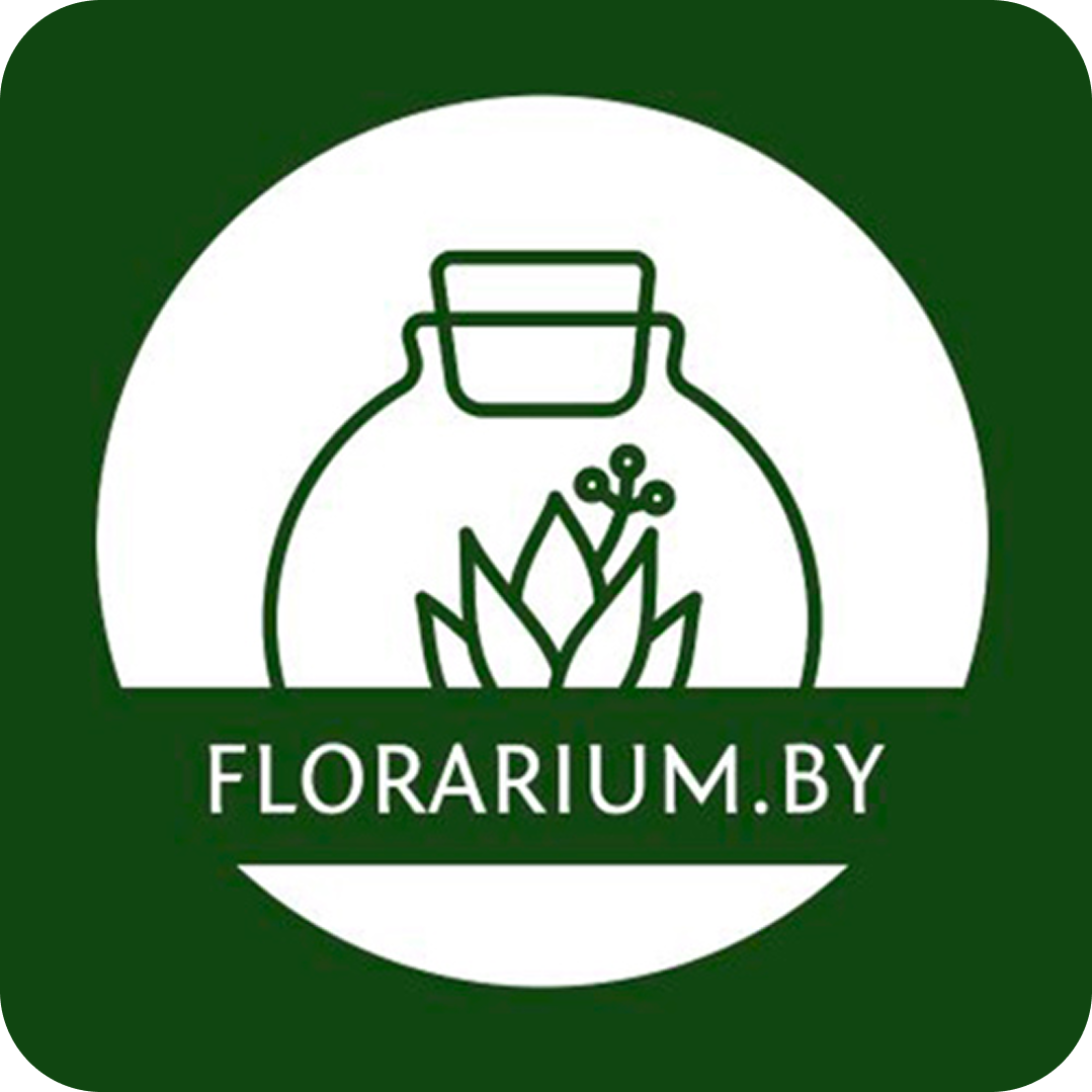 Флорариумы и мастер-классы со скидкой 10% от "Флорариум" в Бобруйске